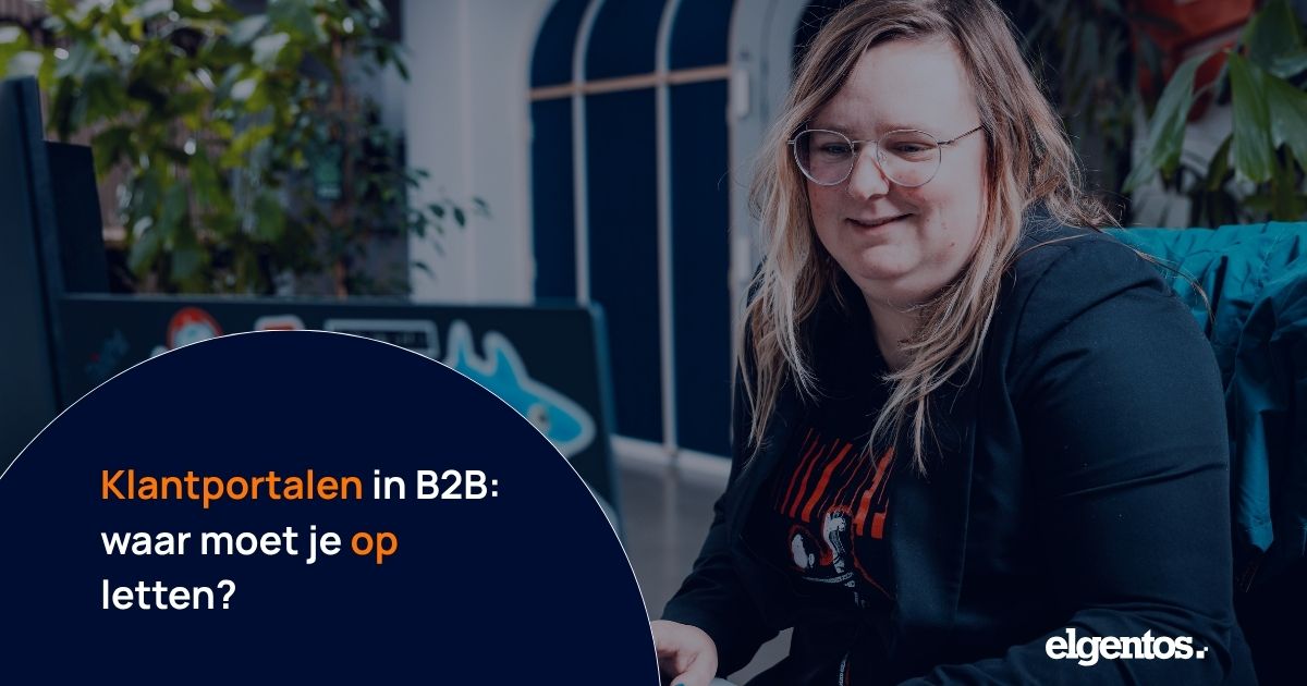 Customer portals in B2B: what should you pay attention to?